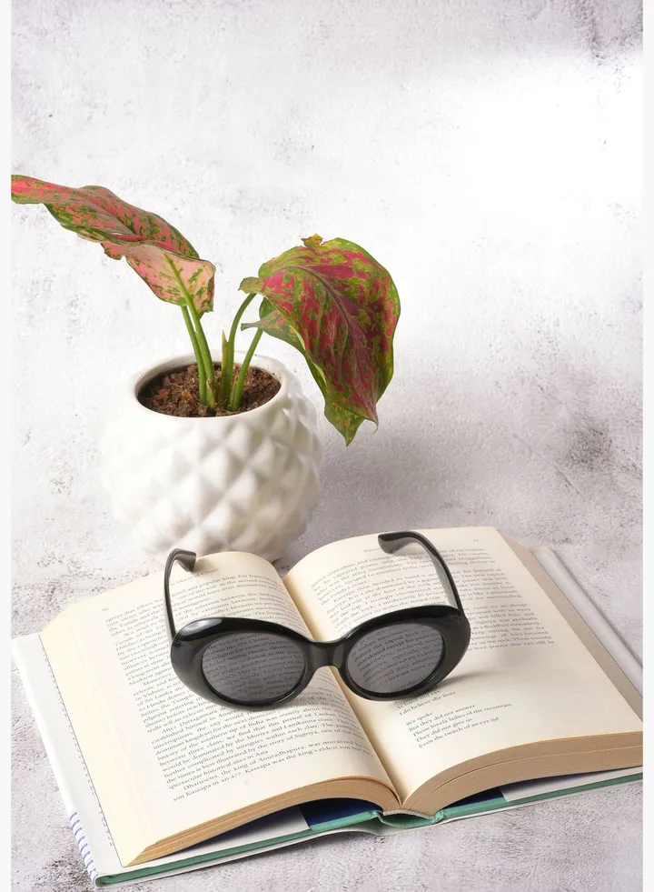 Women Grey Lens Black Oval Sunglasses