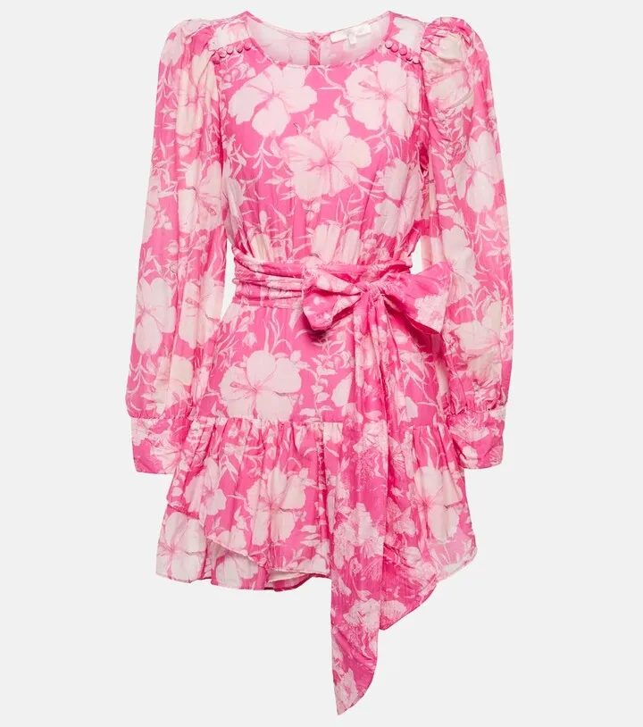 Teyana floral cotton and silk minidress
