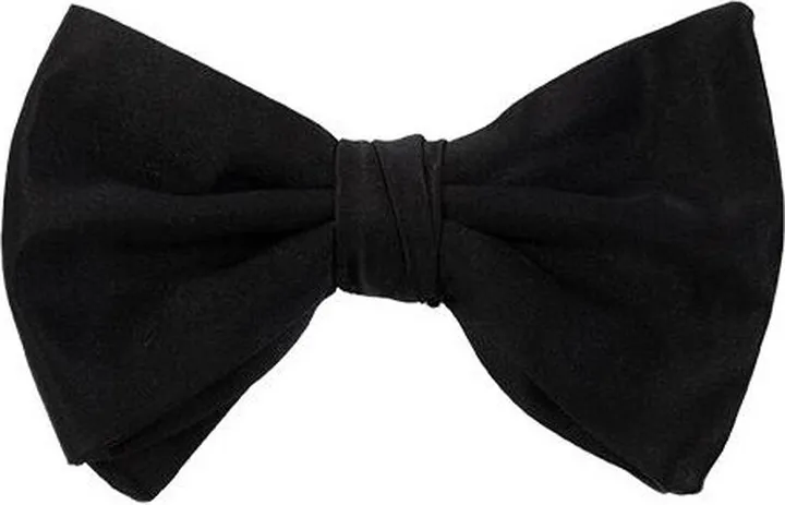 Silk Bow Tie