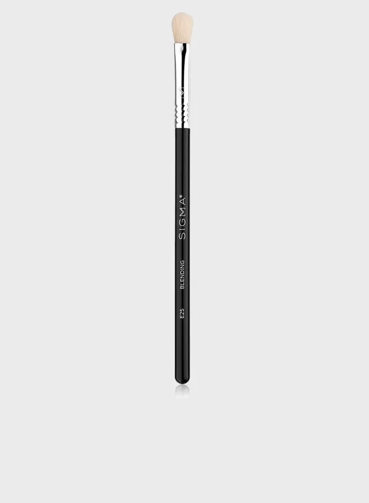 E25 - Blending Brush