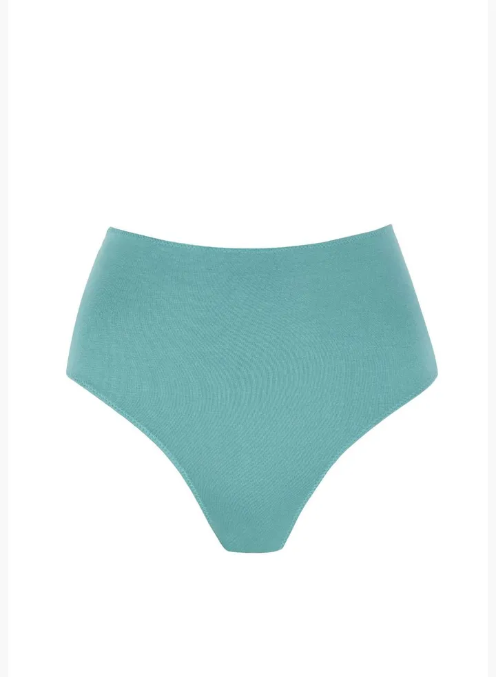 Woman Hipster Underwear Slip