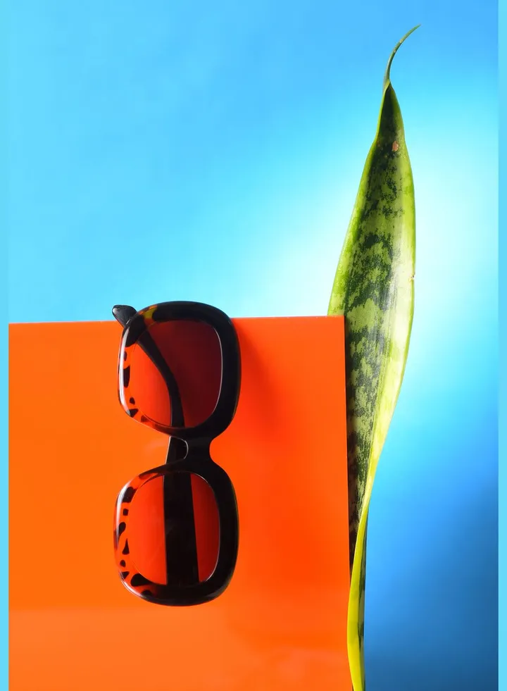 Women Purple Lens Black Wayfarer Sunglasses