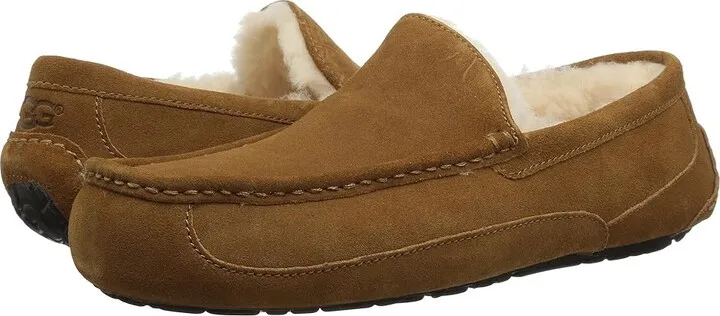 UGG Ascot (Chestnut) Men's Slippers