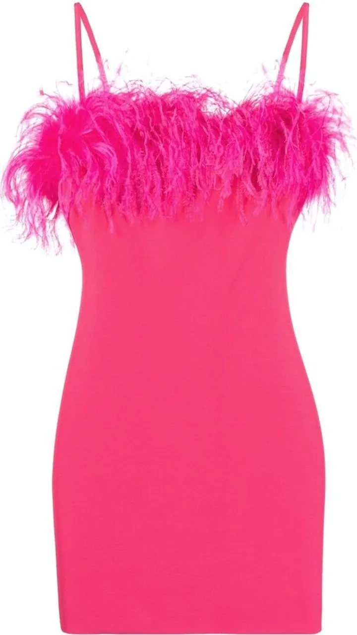Feather-Trimmed Mini Dress