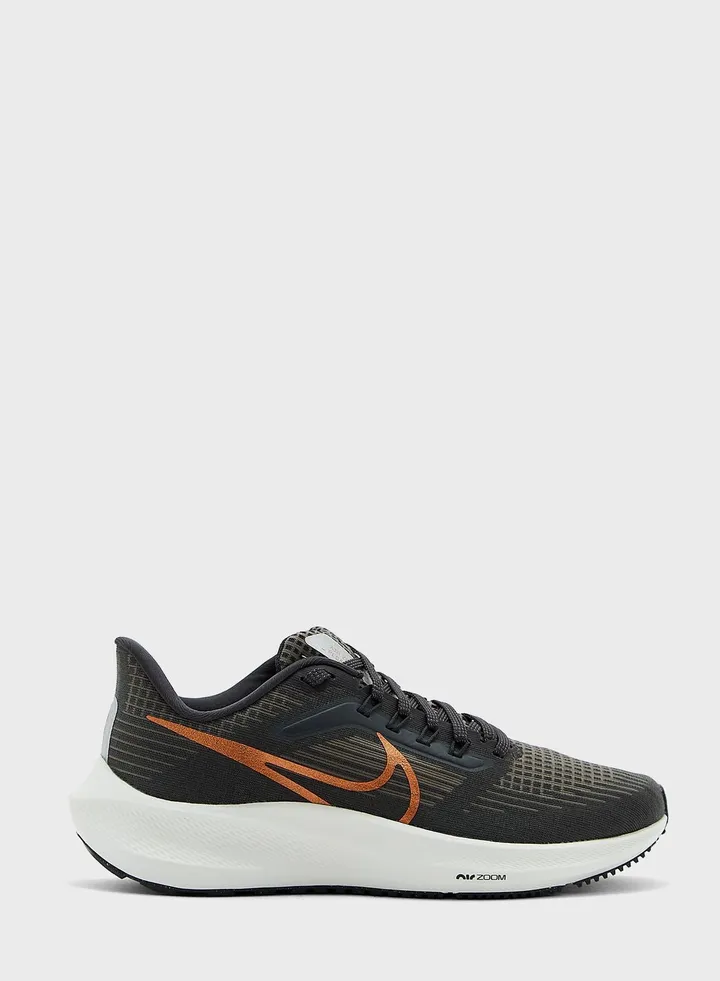Air Zoom Pegasus 39