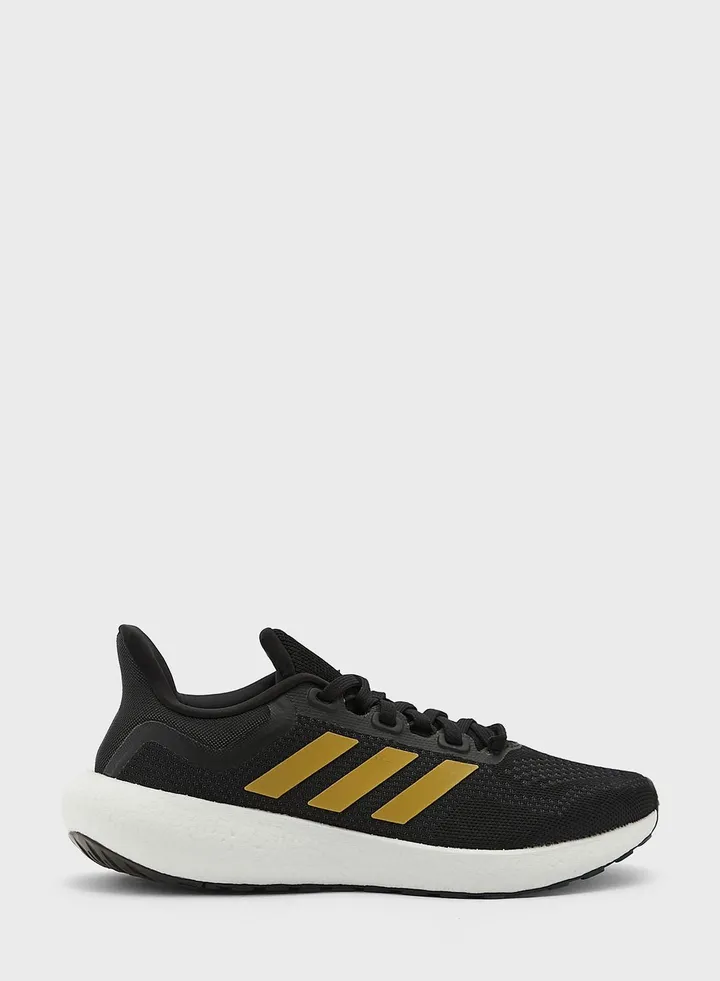 Pureboost Jet