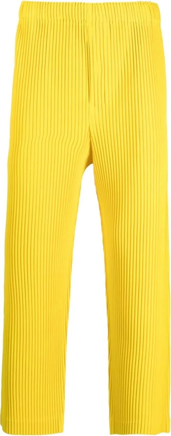 Pleated Tapered Trousers