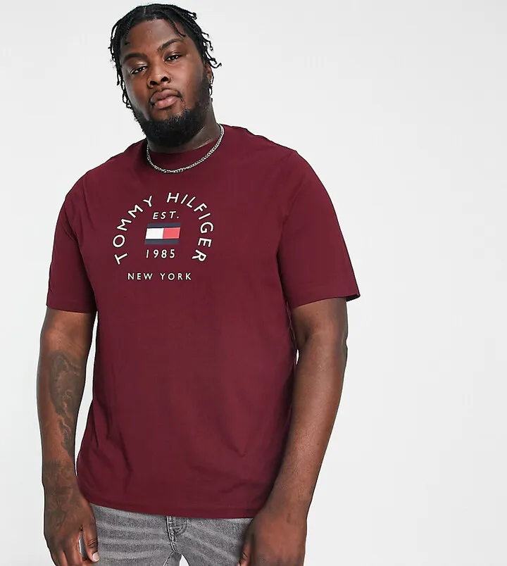 Tommy Hilfiger Big & Tall flag arch logo cotton T-shirt in burgundy