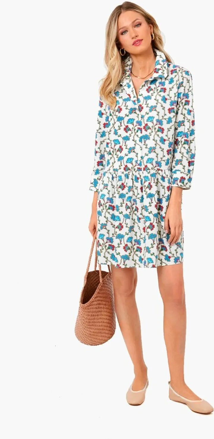Summer Vines Hayes Dress