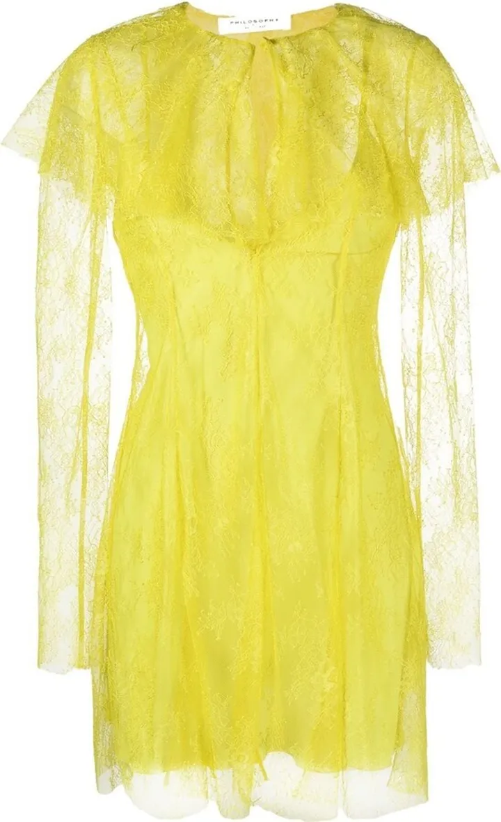 Semi-Sheer Lace Mini Dress