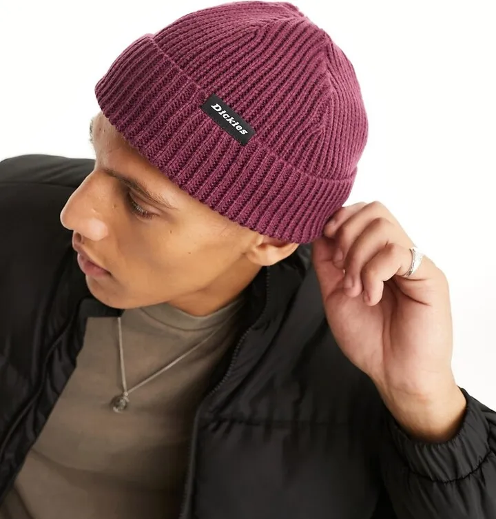 Dickies Woodworth beanie in purple