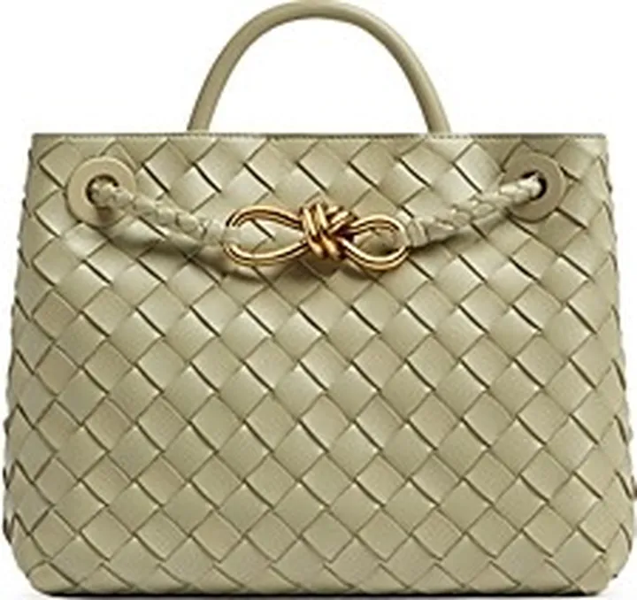 Bottega Veneta Andiamo Small Woven Tote