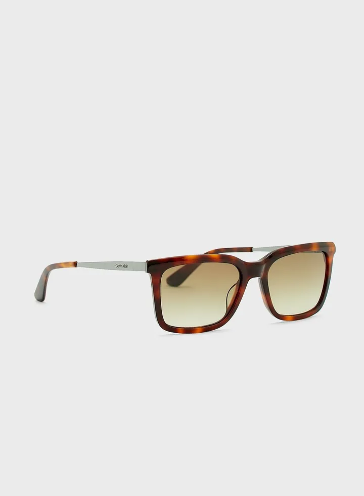 Wayfarers Sunglasses