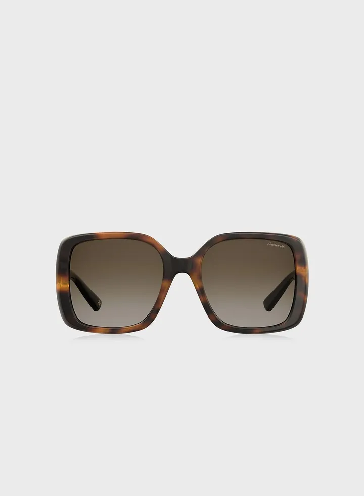 Pld 4072/S Sunglasses