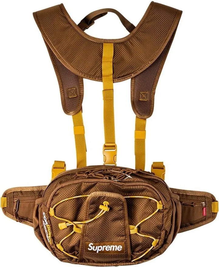 Harness Waist Bag