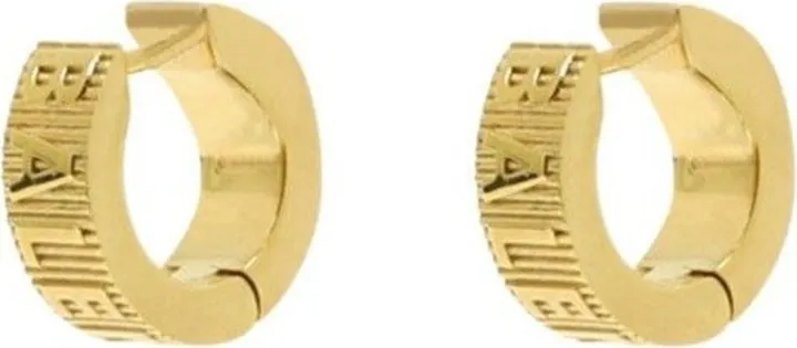 Balenciaga Force Striped Hoop Earrings