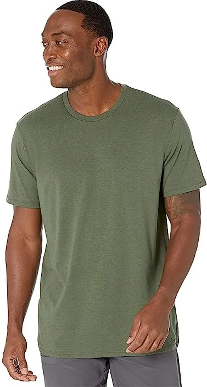 The North Face Terrain Short Sleeve Tee (Thyme) Men's Clothing
