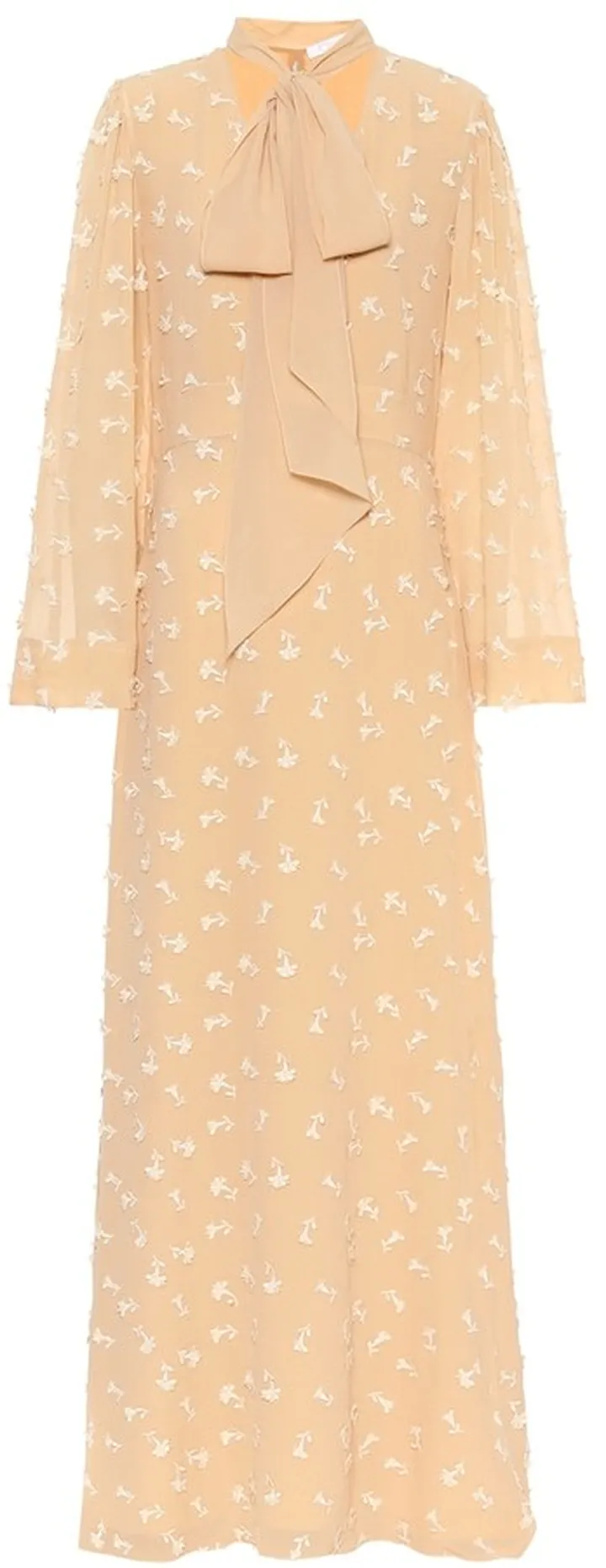 Embroidered silk maxi dress