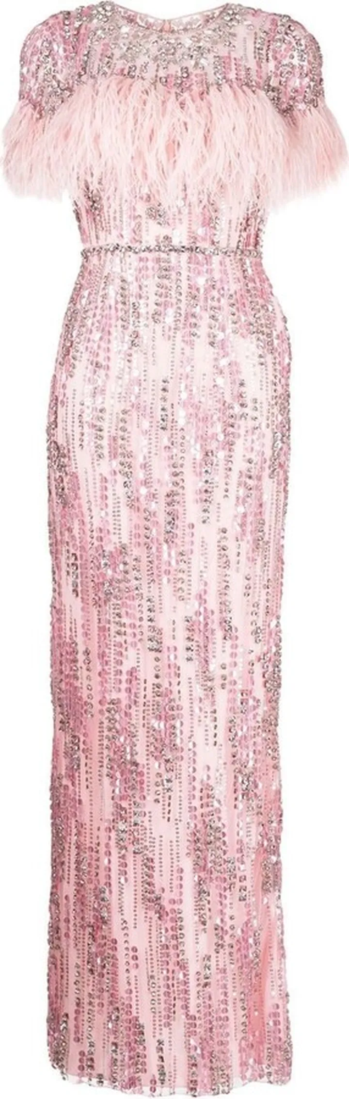 Feather-Trim Embellished Gown