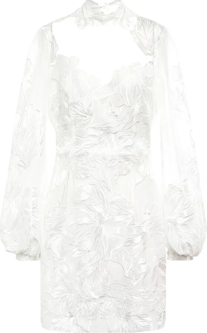 Tayla embroidered tulle minidress