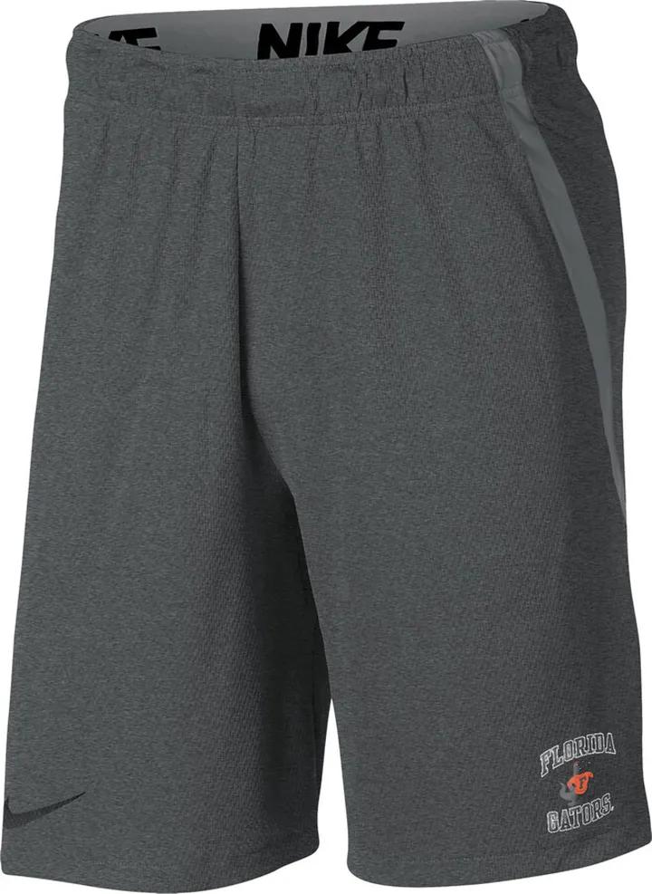 Florida Nike Men's College Shorts in Grey