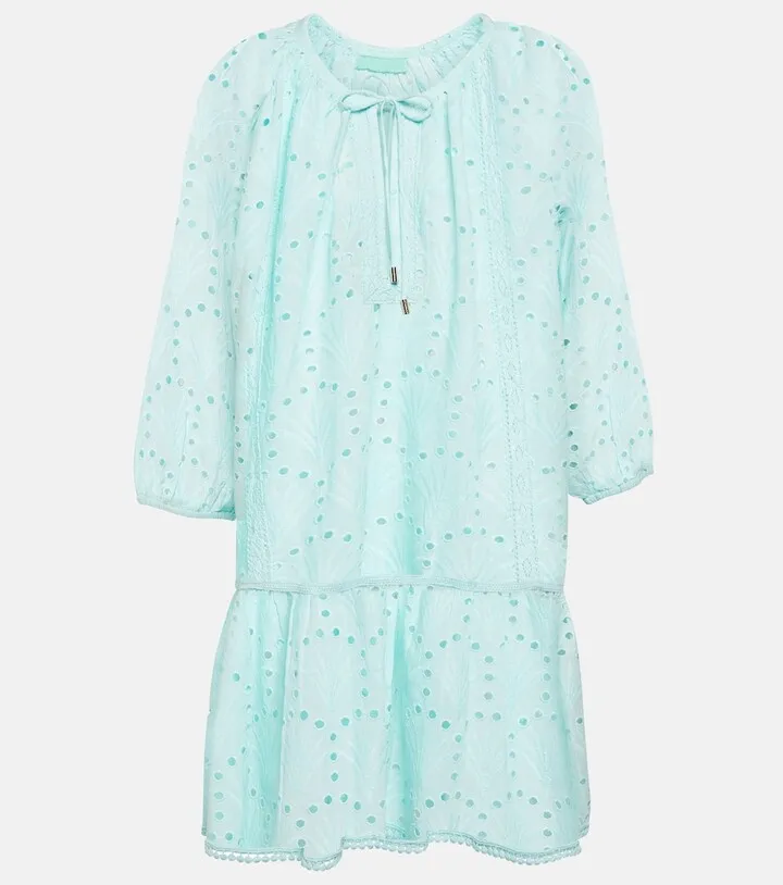 Ashley embroidered cotton minidress