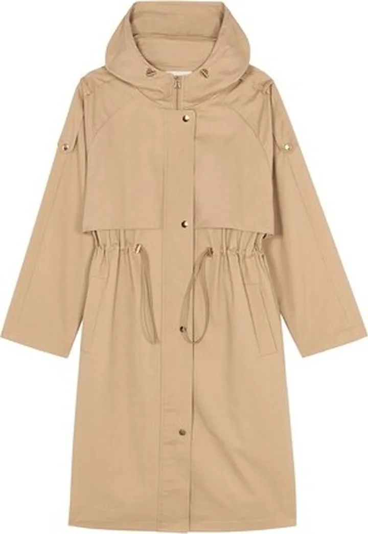 Ted Trench