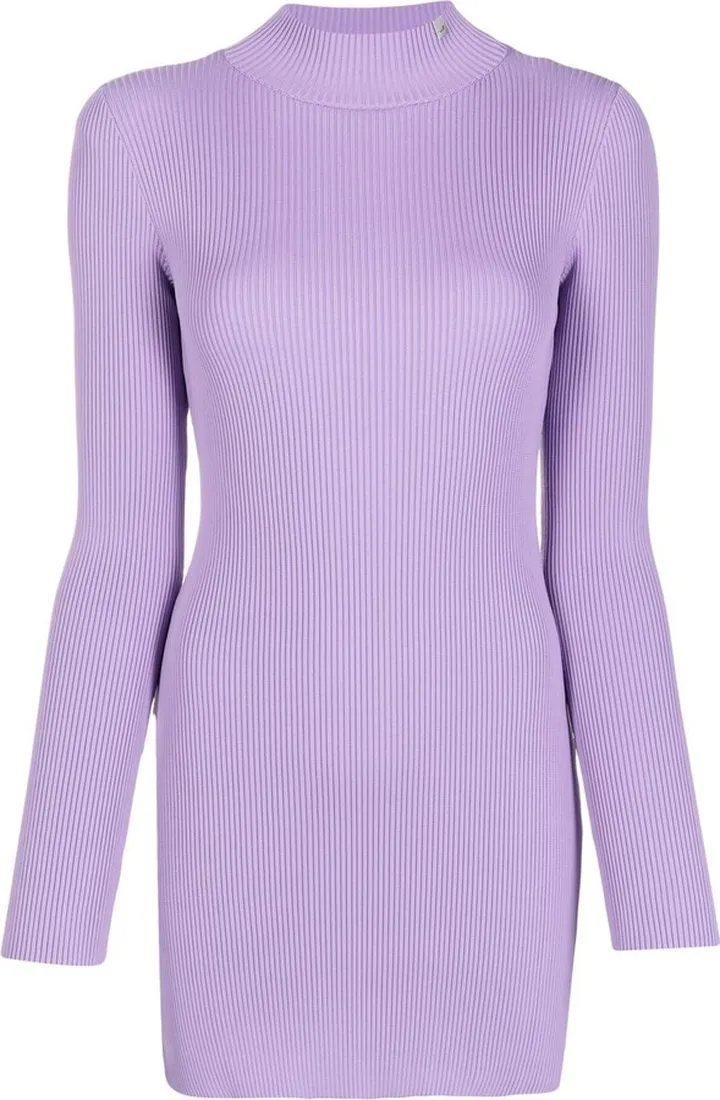 Ribbed High-Neck Mini Dress