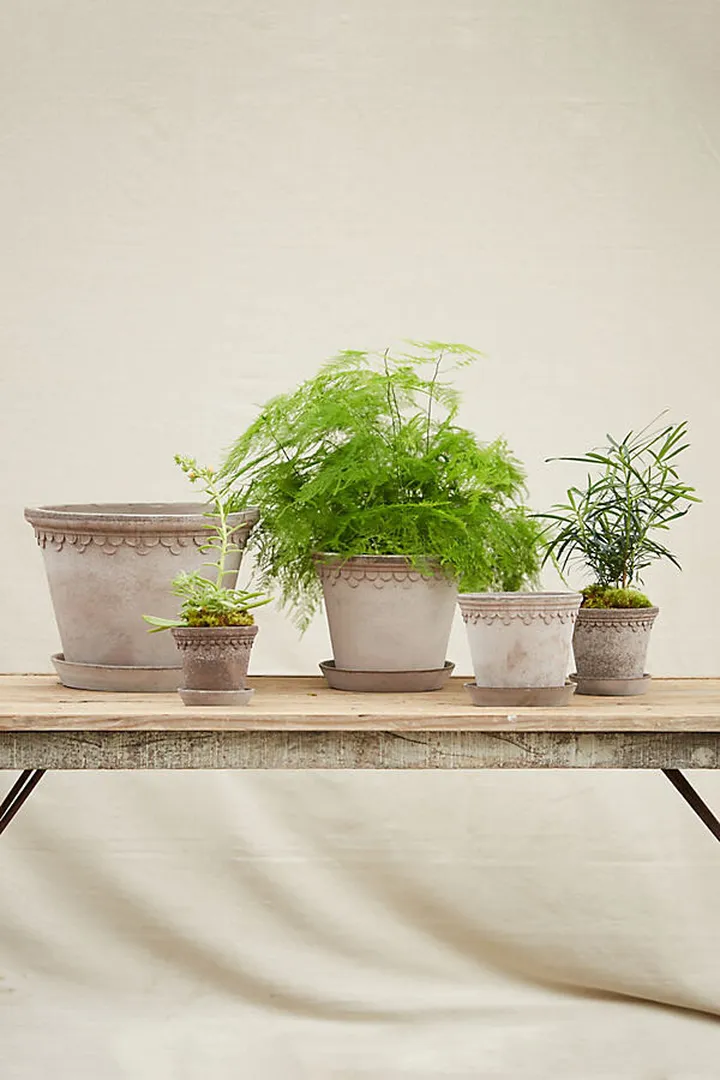 Bergs Palace Pot Grey