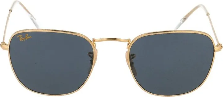 Ray-Ban Frank Legend Sunglasses