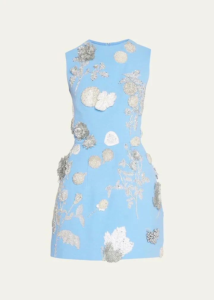 Embroidered Mini Dress