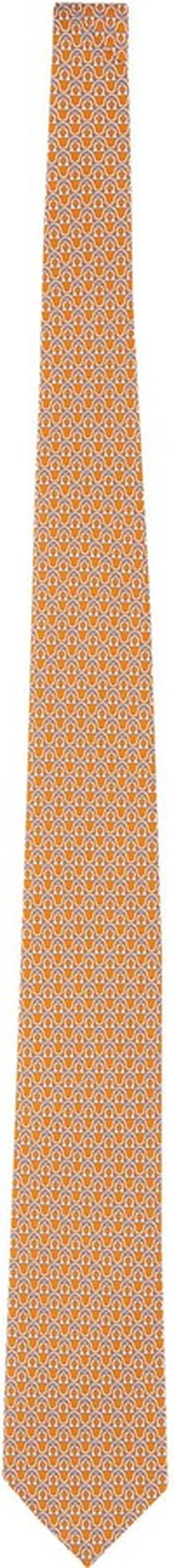 Tie With Gancini Print