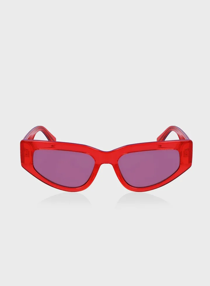 Wayfarer Sunglasses