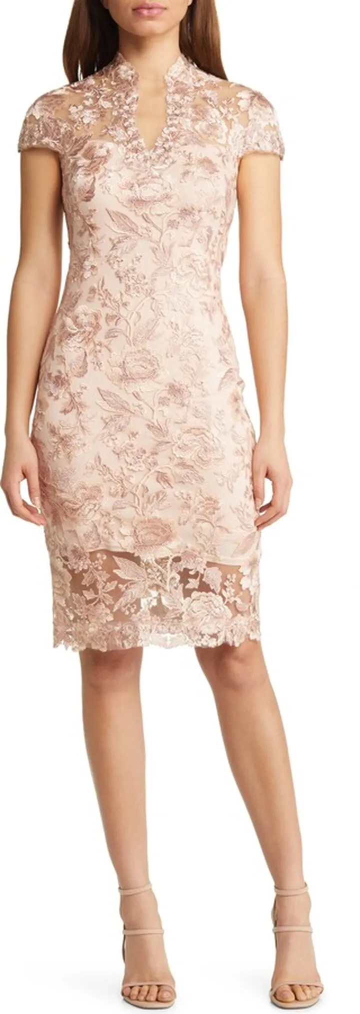 Cap Sleeve Lace Sheath Dress