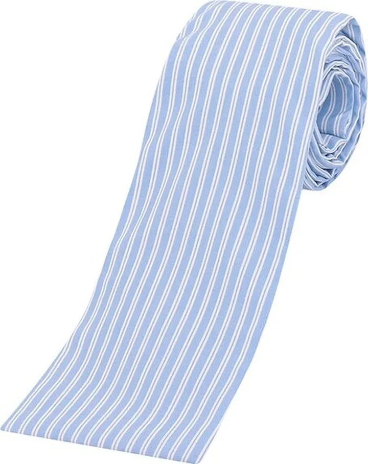 Comme des Garçons Shirt Striped Tie