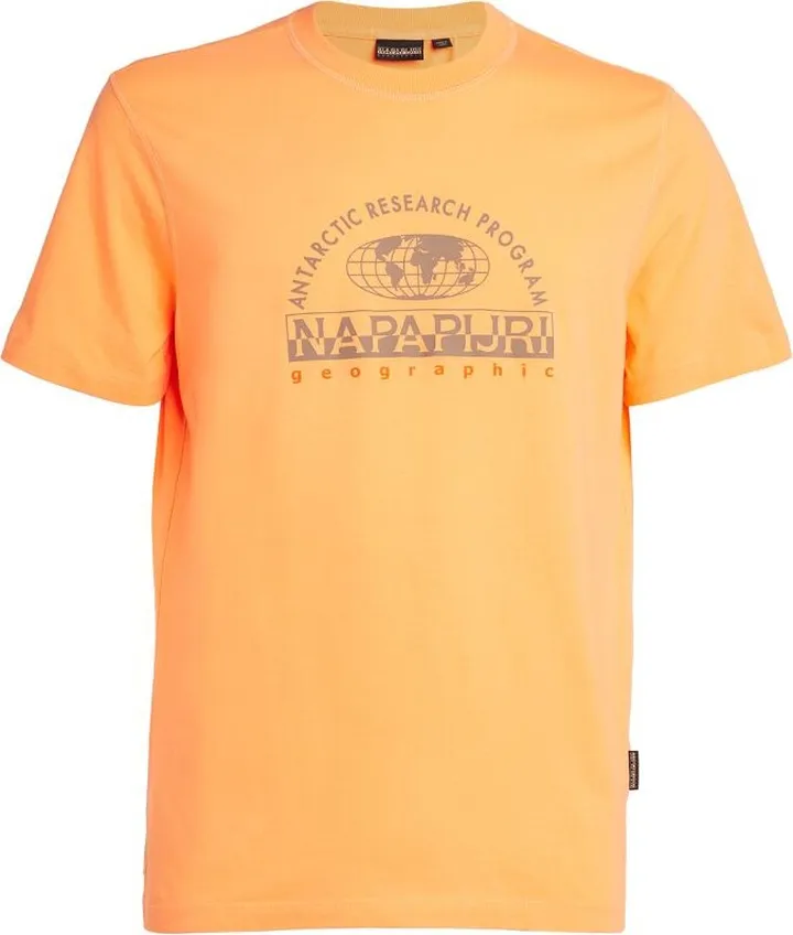 Napapijri Graphic Logo T-Shirt