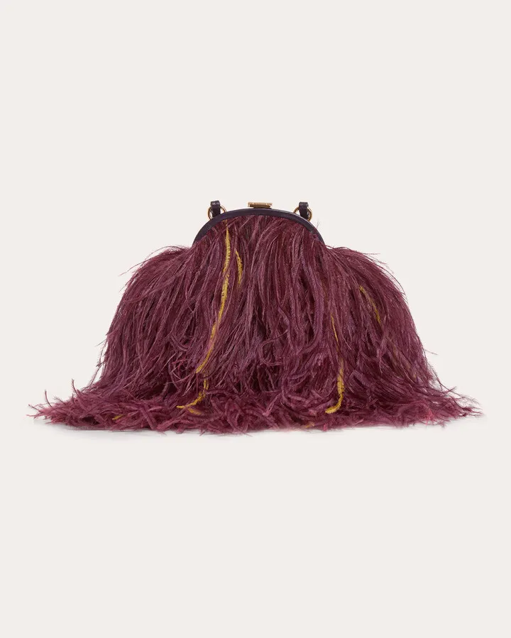 Frame Feathered Crossbody Bag