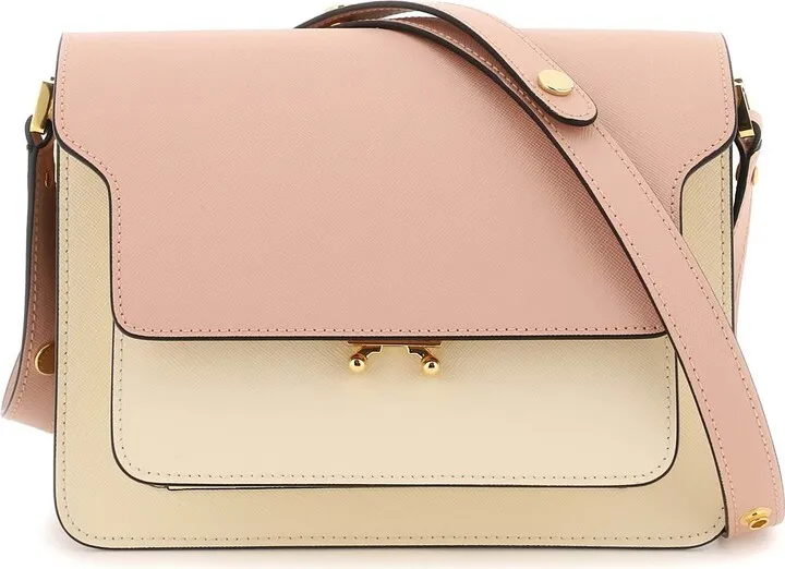 Tricolor Leather Medium Trunk Bag