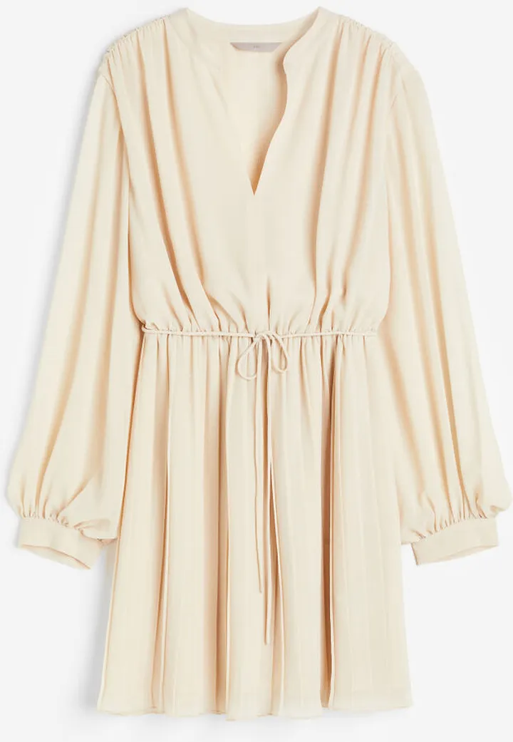 Pleated Dress