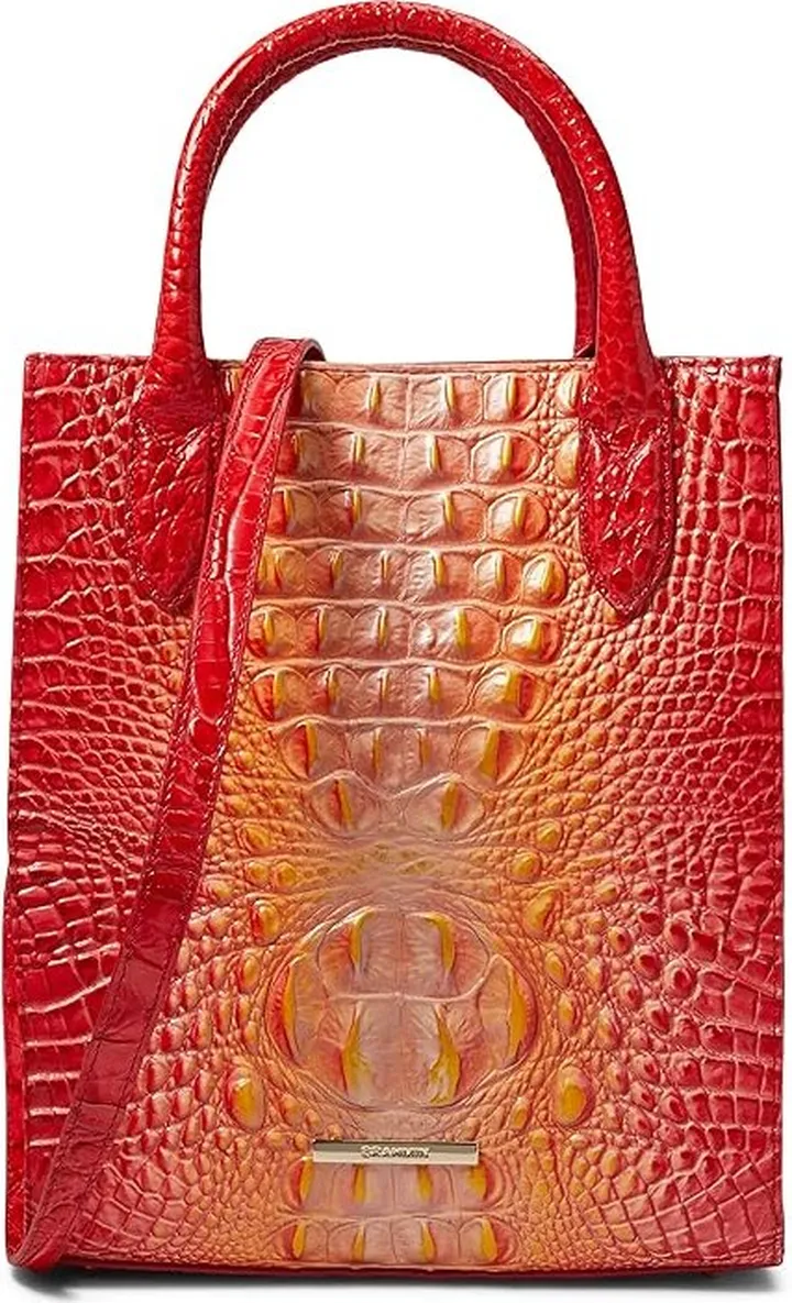 Brahmin Ombre Melbourne Moira Crossbody (Infusion) Handbags