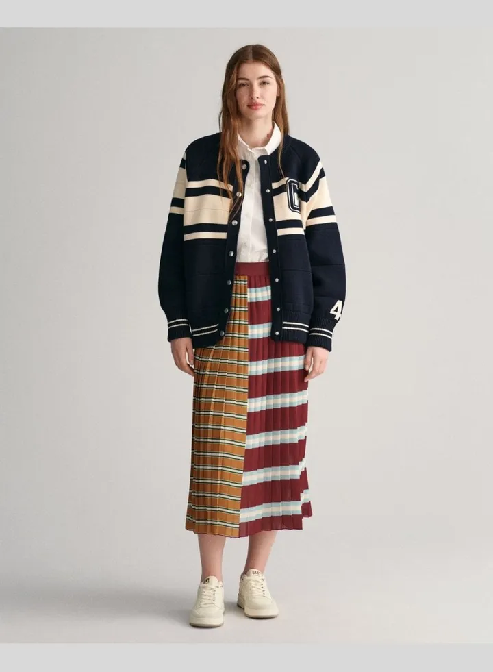 Striped Pleated Skirt