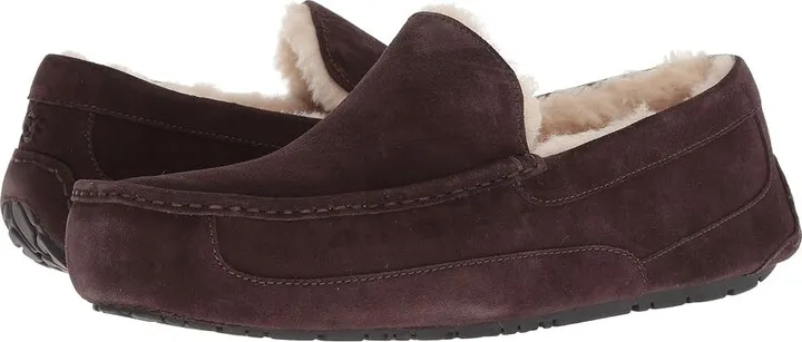 UGG Ascot (Espresso) Men's Slippers