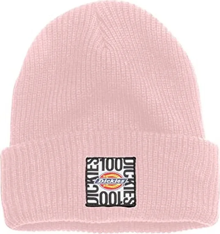 Dickies Men's 100th Anniversary Beanie
