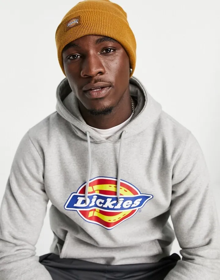 Dickies Gibsland beanie in brown