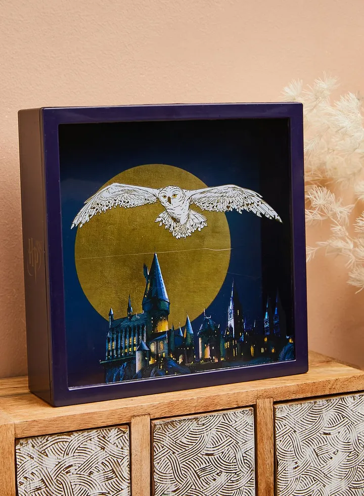 Hedwig Frame Money Box
