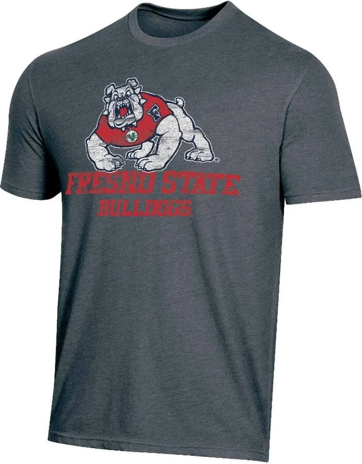 NCAA Fresno State Bulldogs Men's Charcoal Heather Distressed T-Shirt - XXL
