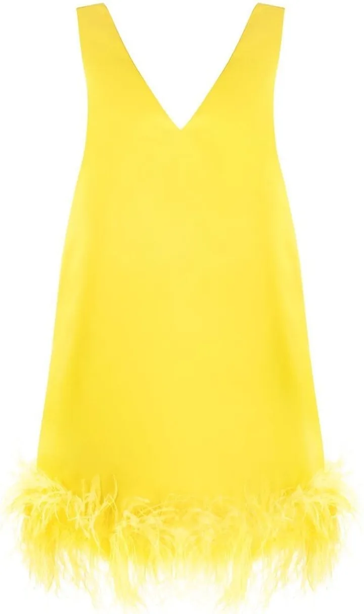 V-neck feather dress