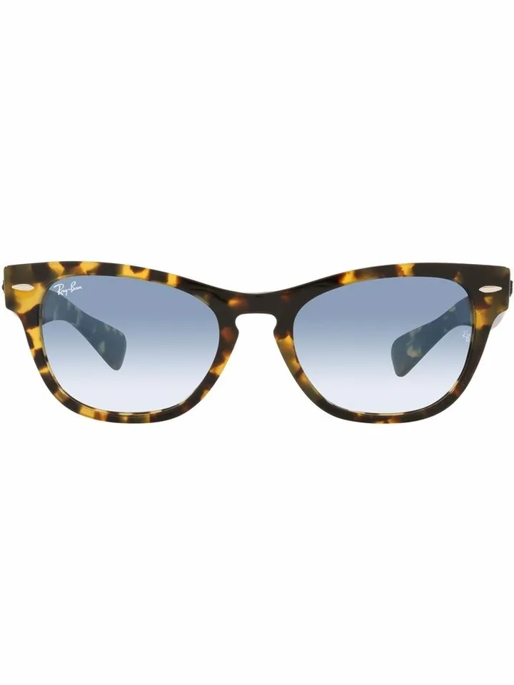 RB2201 Laramie cat-eye sunglasses