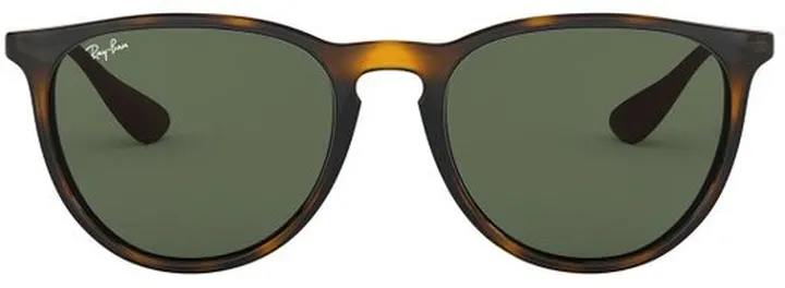 Ray-Ban Erika Classic Sunglasses
