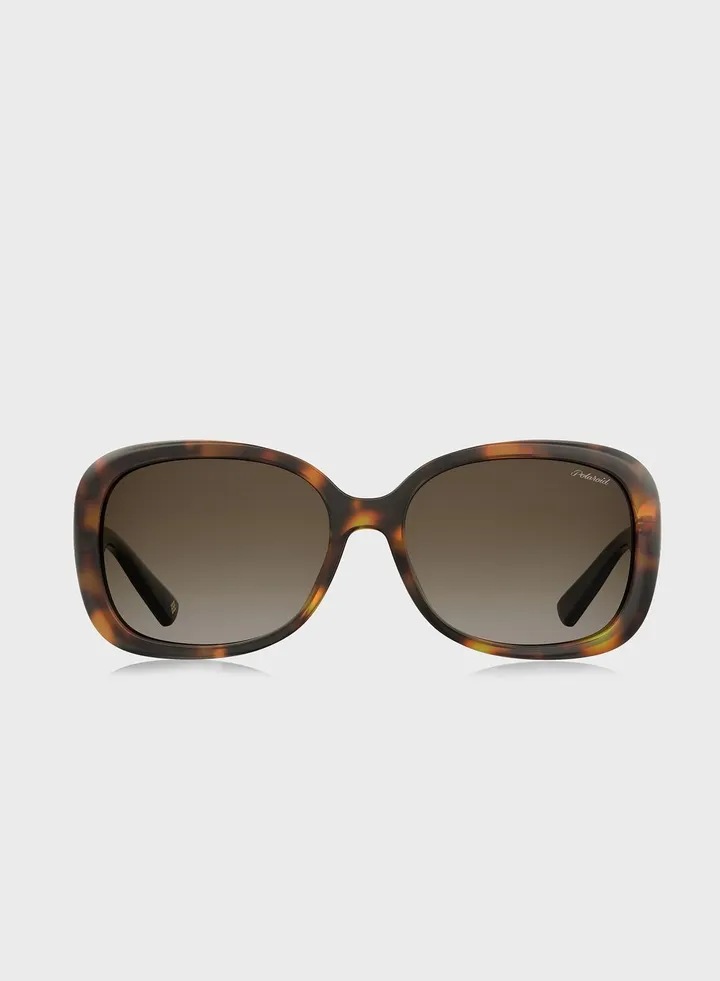 Pld 4069/G/S/X Sunglasses